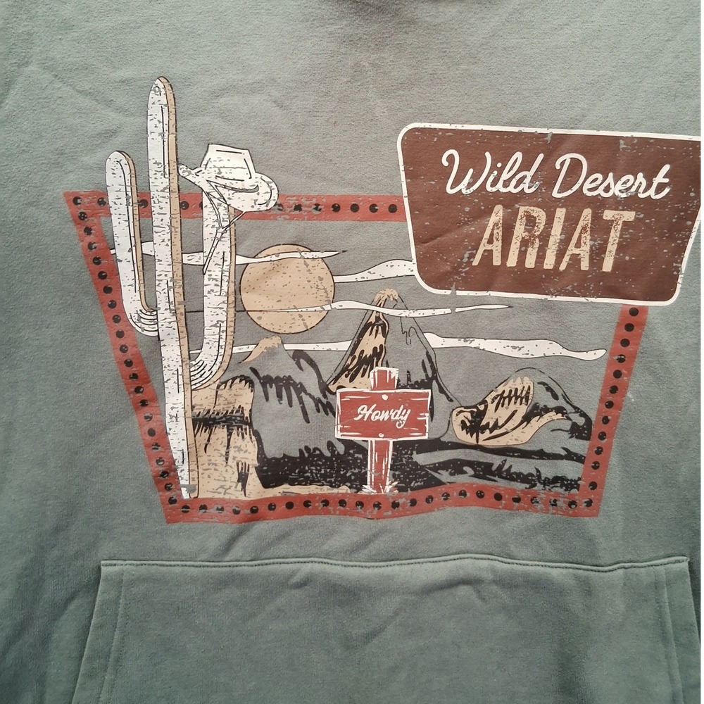 Ariat Womens 3X Wild Desert Graphic Hoodie Sage Green Western Sweatshirt - Picture 2 of 10